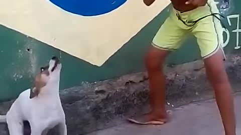 Dog dancing and singing