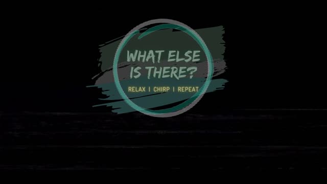 What Else Is There? | RELAX | CHIRP | REPEAT