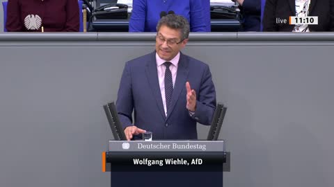 Wolfgang Wiehle Rede vom 02.06.2022 - Wirtschaft und Klimaschutz