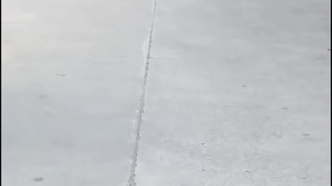 Going to school wearing my Quads | Skating | Skating Girl | #rumble #skating #Harshalidhankhola