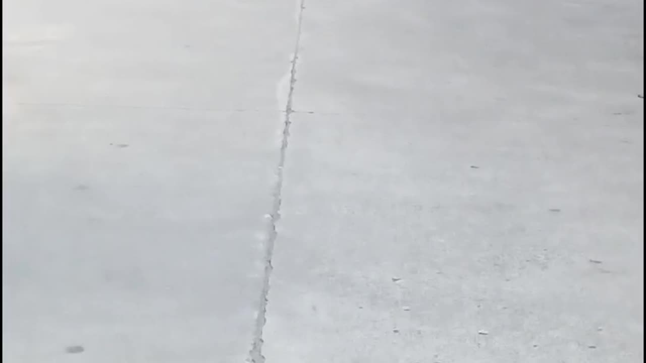 Going to school wearing my Quads | Skating | Skating Girl | #rumble #skating #Harshalidhankhola