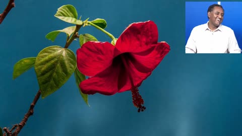 የሀብትሽ ብቻውን አንድ ክፍለጦር ነው