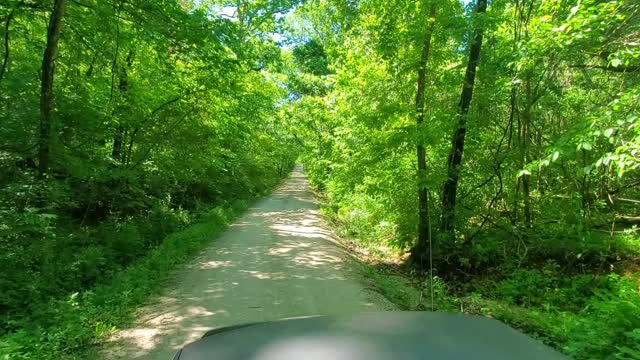 Clearing trees along the road so we can dig a new ditch!