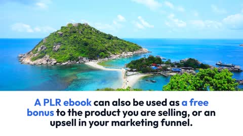 5 free PLR sites