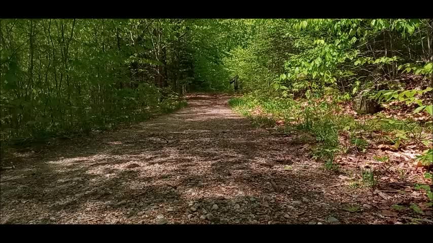 Discovery Trail May 21 2022