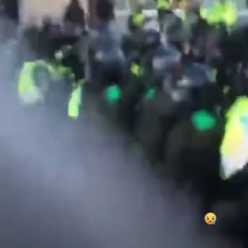 Woman trampled by police on horseback in Ottawa