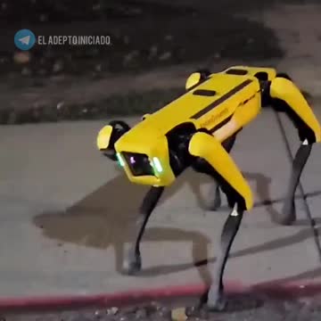 Those pedophile protectors (aka cops)