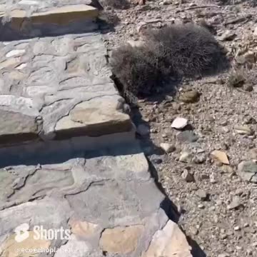 𓁹𓁹Find Your Calm: Discover How Relaxing This is! Volume 175 #echoplanet