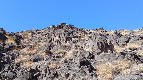 Hills, Pahrump, NV 89060 - 20240821T160555