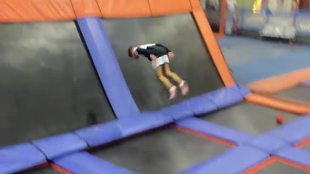 Circuses videos