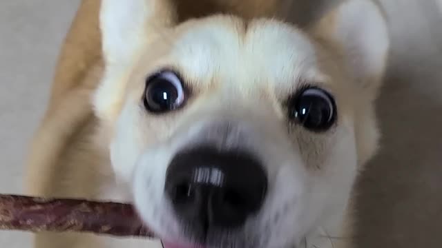 Do you want to eat this