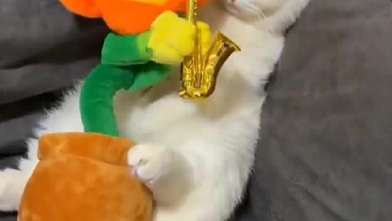 Baby Cats - Cute and Funny Cat Videos #Shorts #45