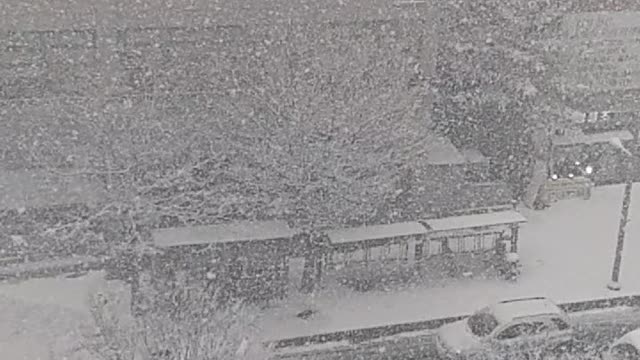 Slow motion of a snowy landscape.