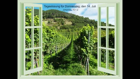 Tageslosung für Donnerstag, den 14. Juli