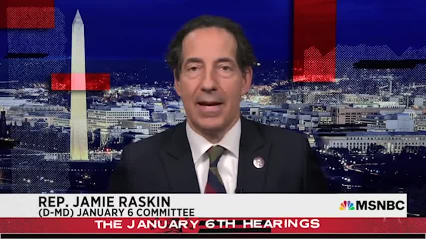 Jamie raskin issues brutal need for Donald Trump live on air