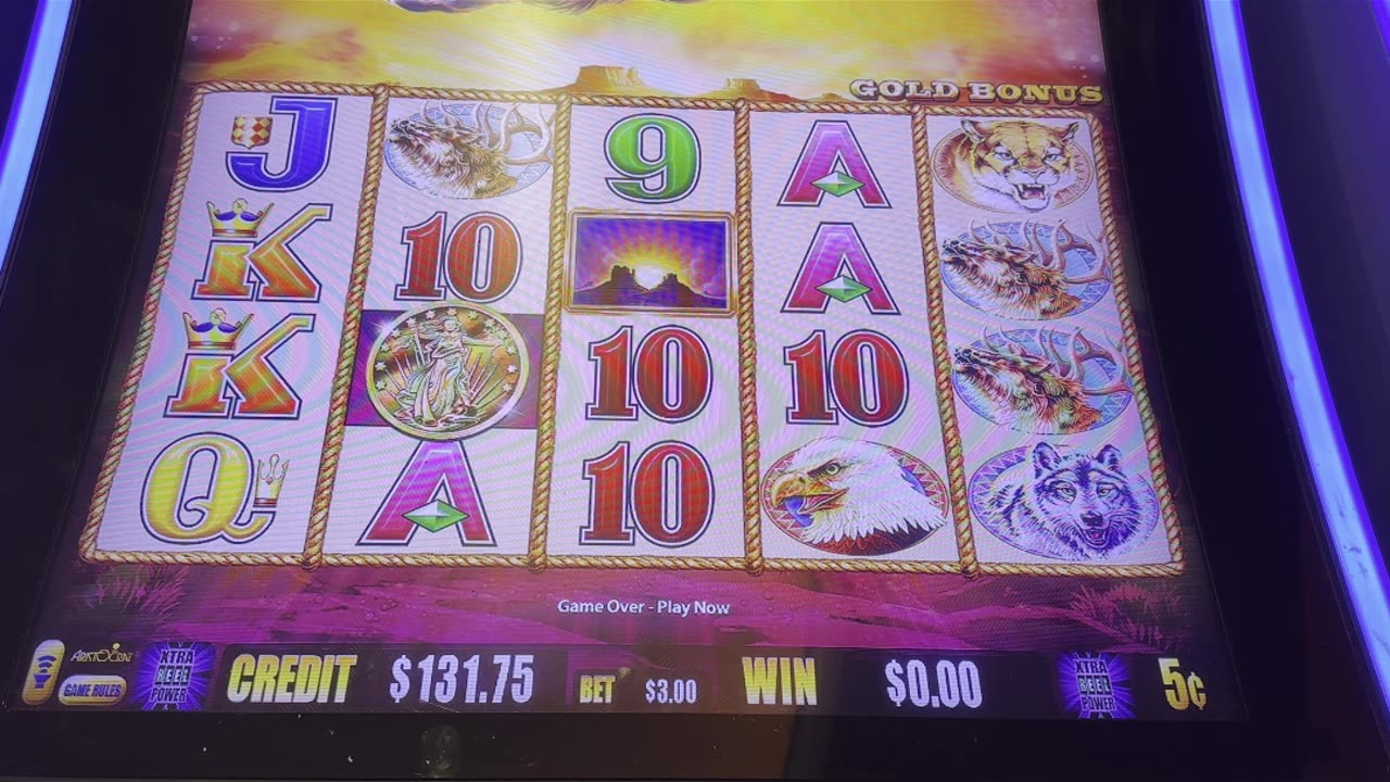 Playing #BuffaloGold at Margaritaville Resort Casino Bossier City 🦬🎰💲