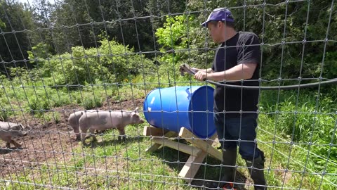 Day in the Life of a Small Farm