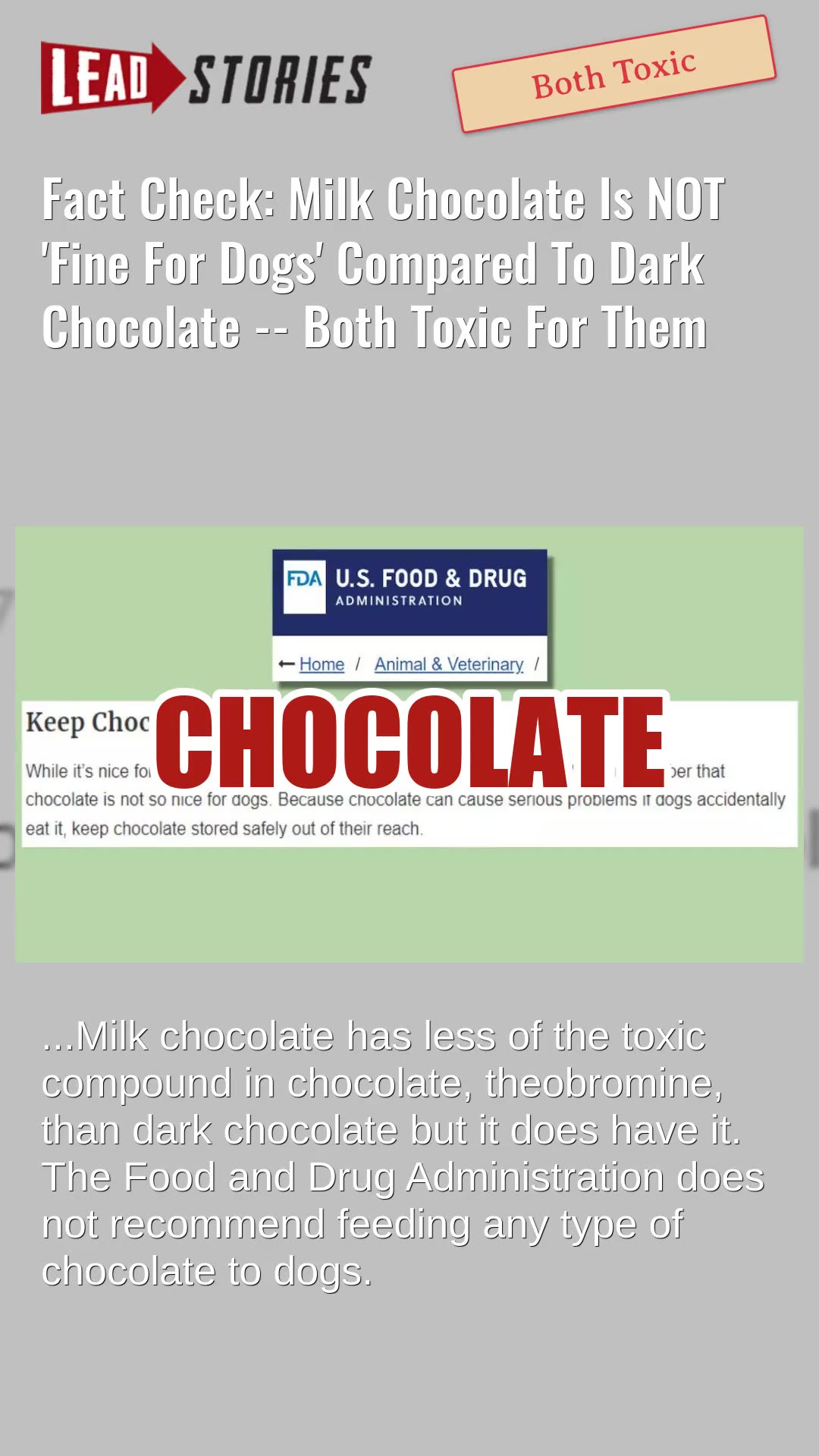 Fact Check: Milk Chocolate Is NOT 'Fine For Dogs' Compared To Dark ... - Older Dogs And Milk Chocolate Claim Risk