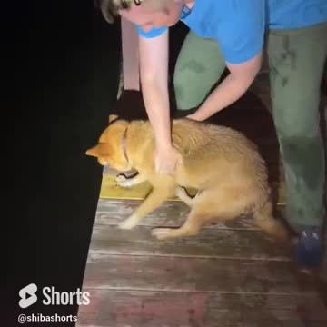 does he want to go in the water ?