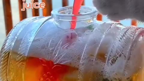 😻💗Cat making mocktail | Cute furry ball 😻