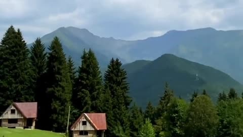 Beautiful Nature