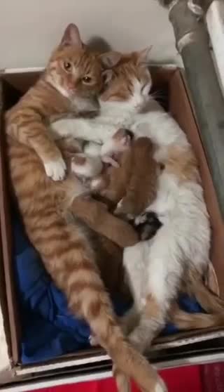 I love you my dear girl