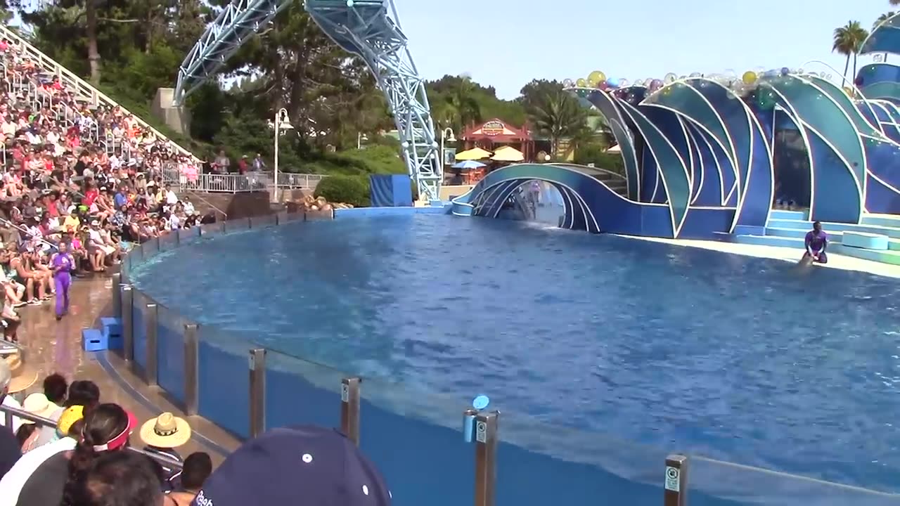 Dolphin Days (Full Show) at SeaWorld San Diego