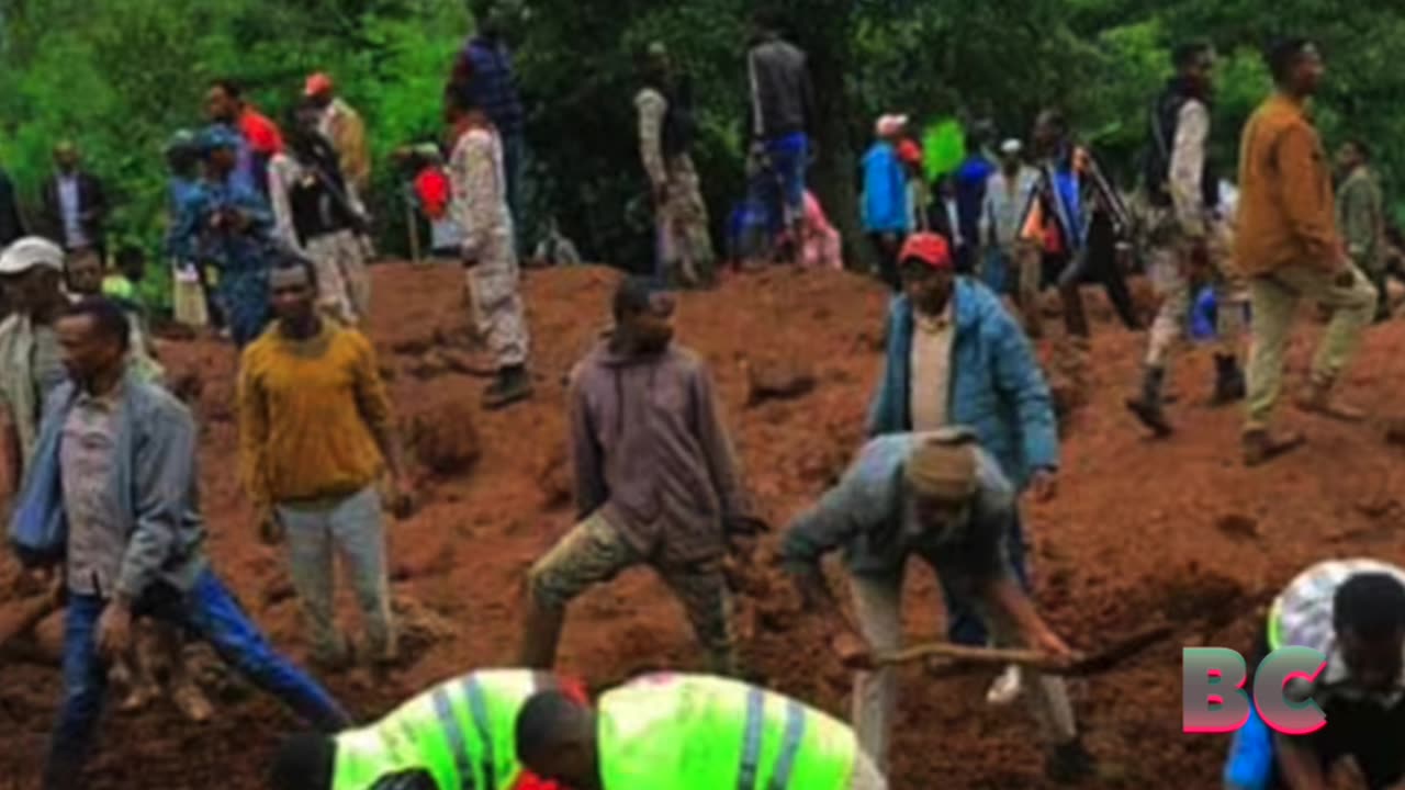 Ethiopia landslide rescuers pull 229 bodies from mud