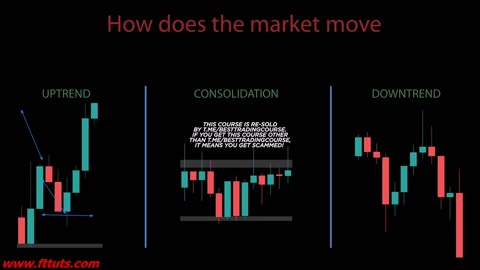 Market Trends