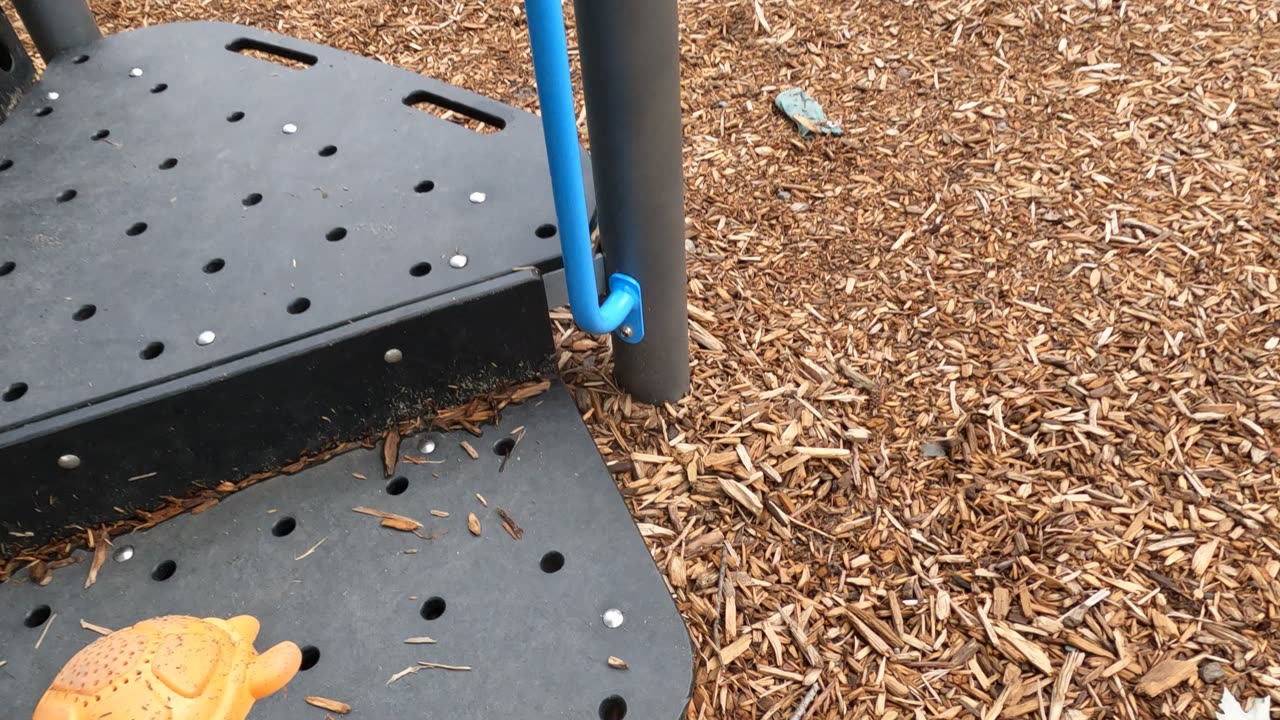 🚮 The Importance Of Giving Back 🗑️ @ Woodroffe Park In Ottawa 🍁