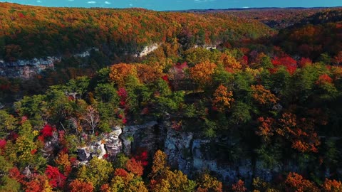 View from a Hill - Bright Autumn Colors