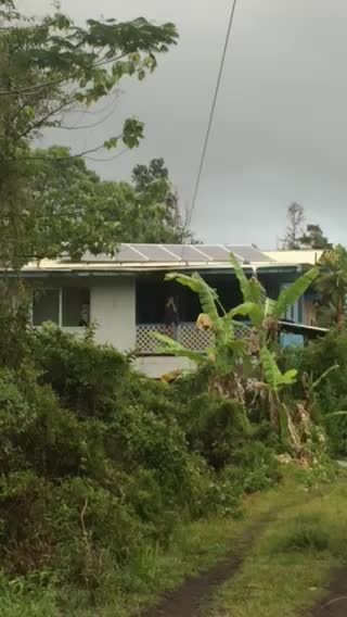 Backyard Zip line action2018