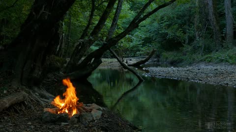 4K Campfire By The River-Nature and Birdsong