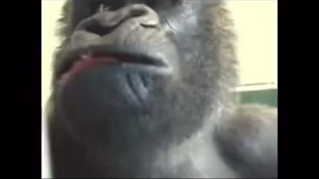 Meme. When you eat rice and remember the pizza you left in the oven