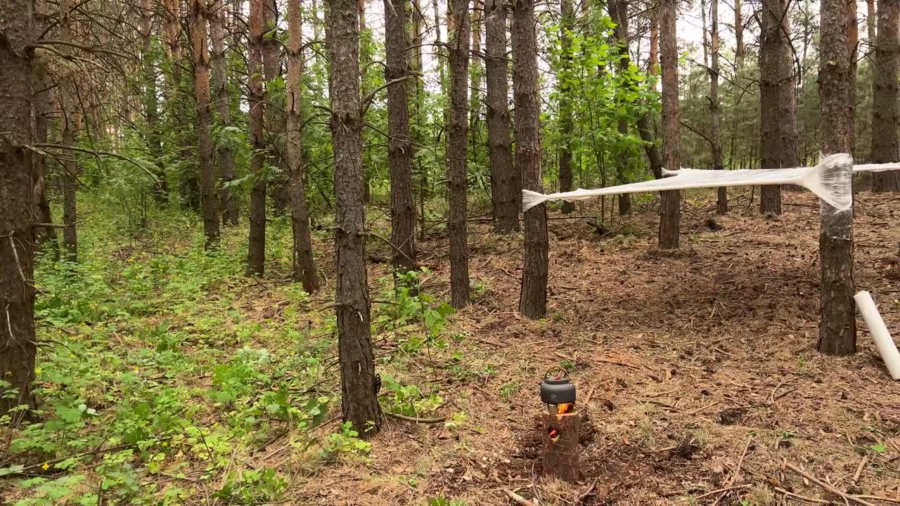 SOLO camping GIRL/ Plastic film hammock tent ASMR