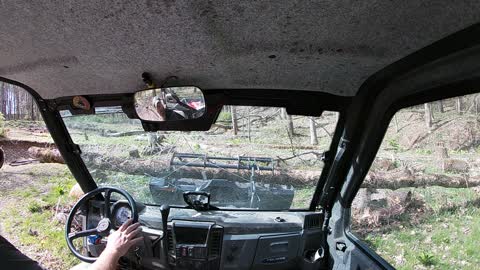 Time Lapse Polaris Brutus moving tree and logs