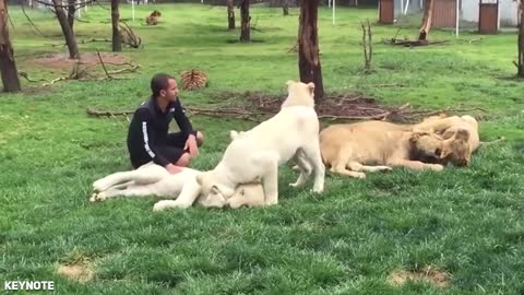 Animal HEROES Protecting Their Owners!