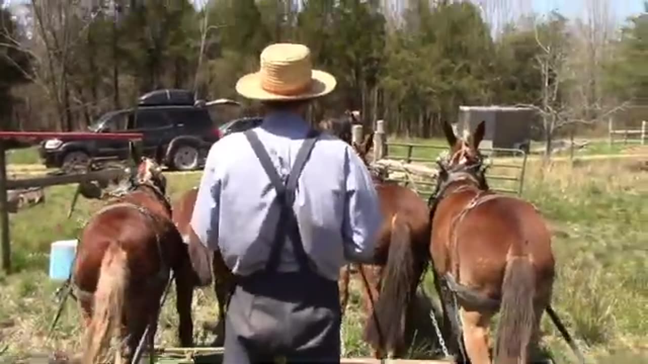 Farming with Mules in Kentucky with Titus Morris