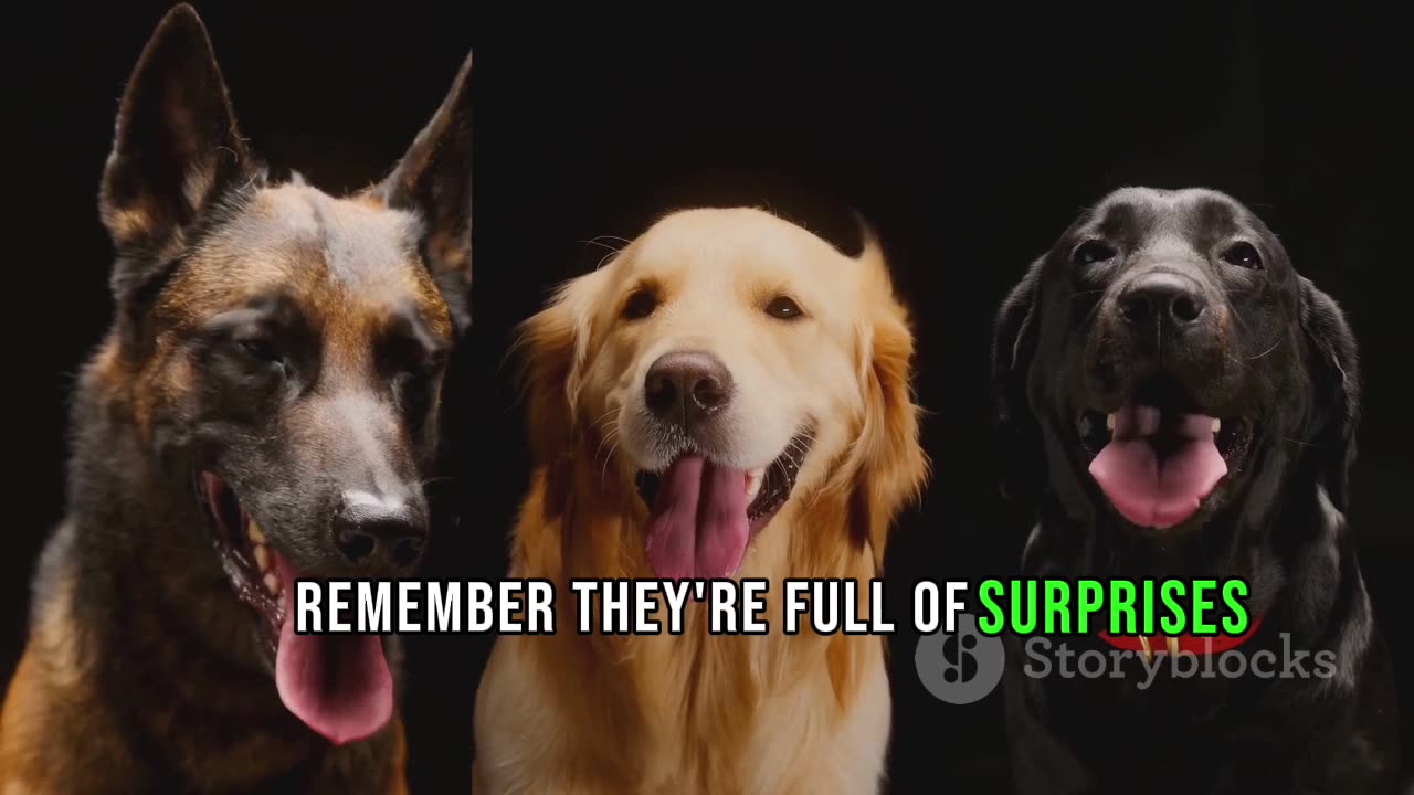 5 Amazing Facts About Dogs You Didn't Know!