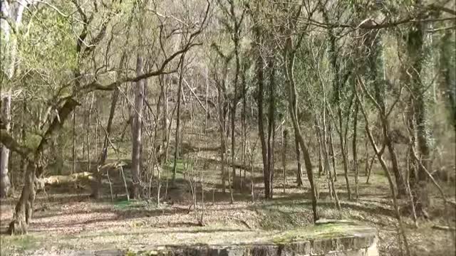 2018 - Return to Mt. Lock