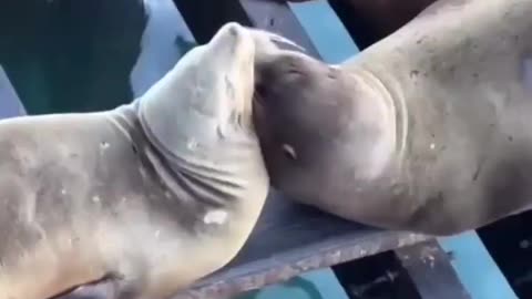 Get a room you two 🤣🤣