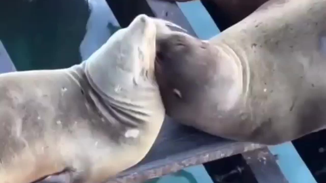 Get a room you two 🤣🤣