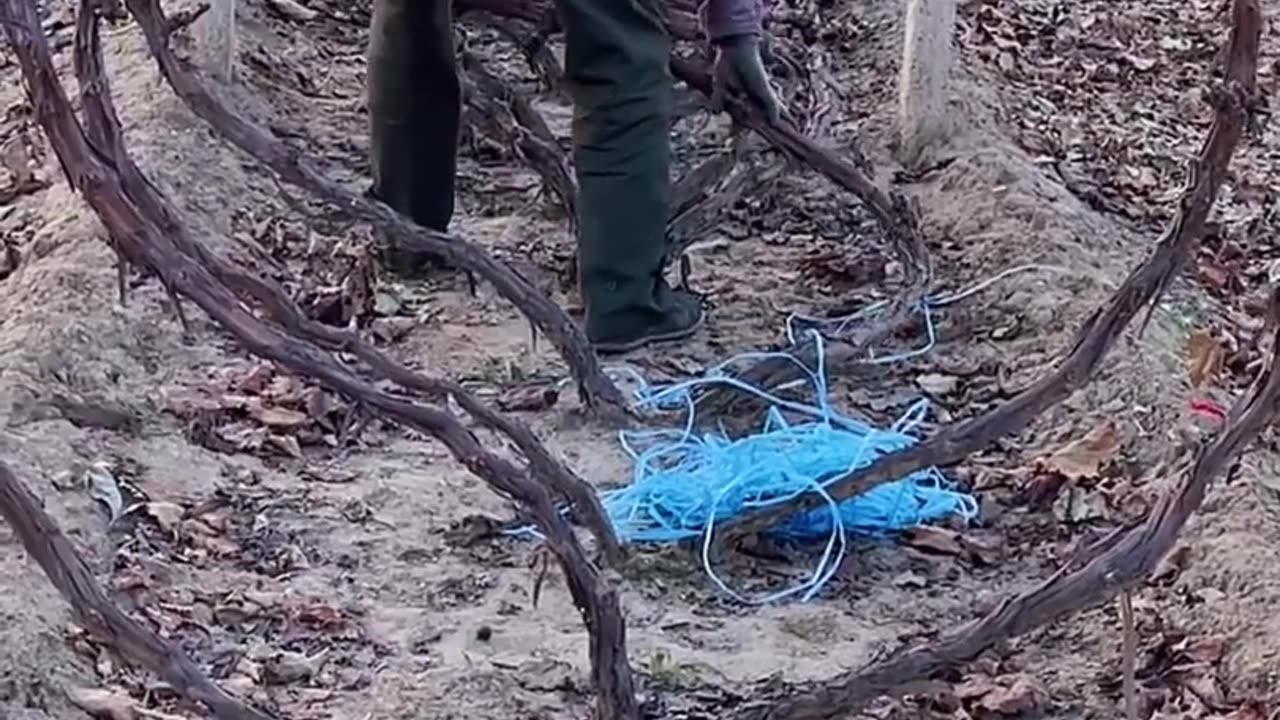 Removal of the grapevine placement skills - Routine Crafts