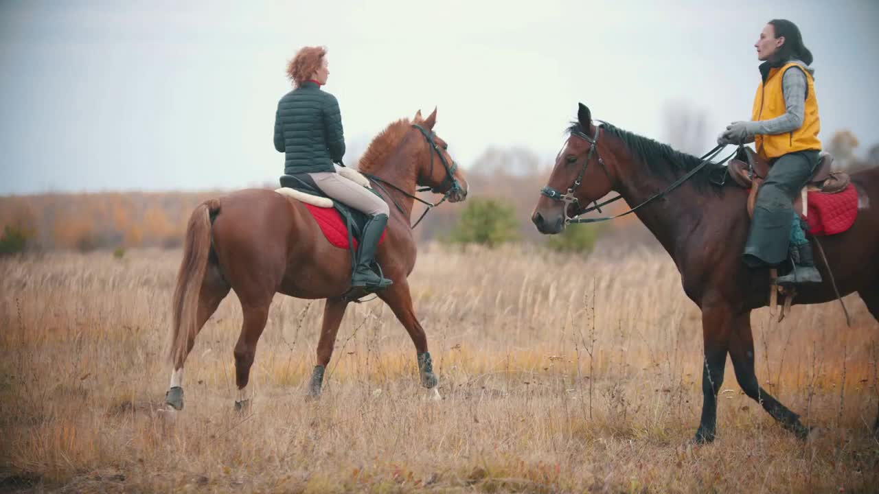 Two women on the horses backs are walking on the field