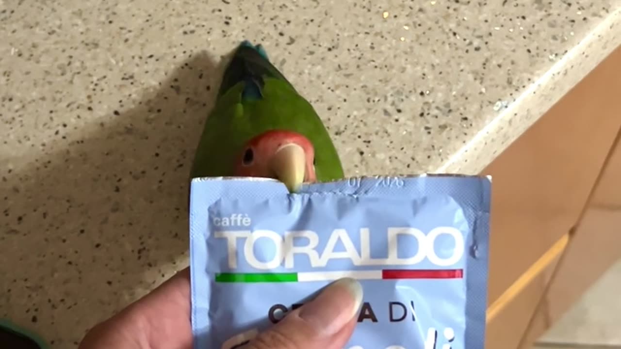 Lovebird Opens Coffee Pack