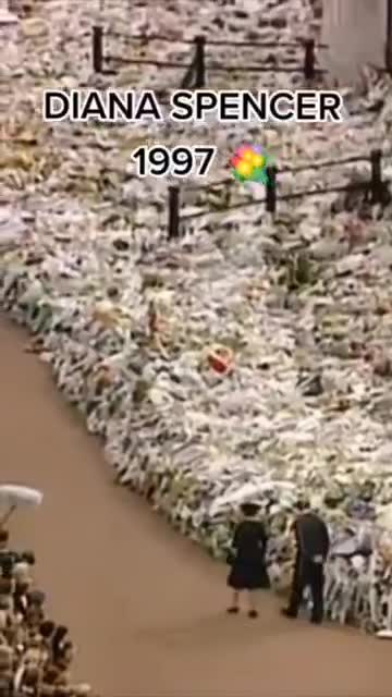 DID YOU KNOW? THE DIFFERENCE