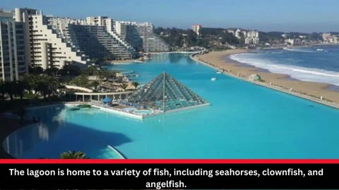 Chile's Hidden Treasure: Unveiling the Enchanting San Alfonso del Mar