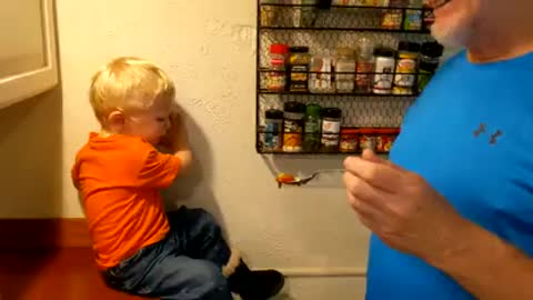My kid HATES being told what to do. His granddad told him not to eat an onion.