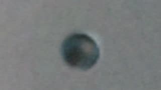 The Clearest Footage Ever of a Metal Sphere: The Enigma of the 2017 Poland Sighting