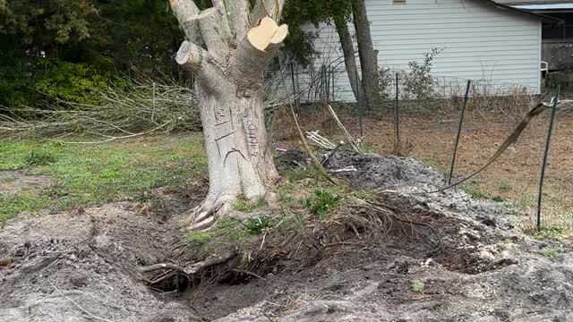 redneck fuckery